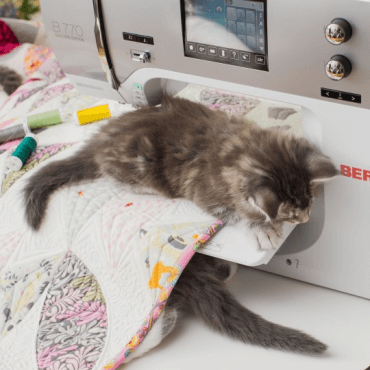 Bernina B770 QE